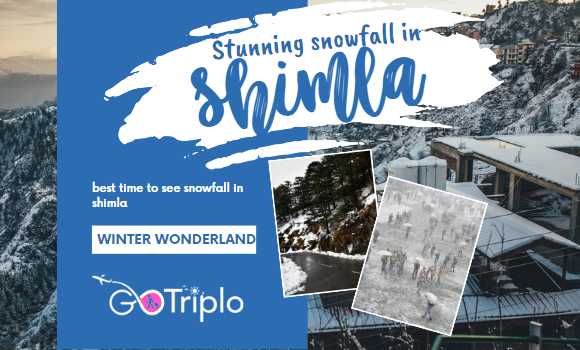Stunning Snowfall in Shimla - A Winter Wonderland and best time to see snowfall in shimla