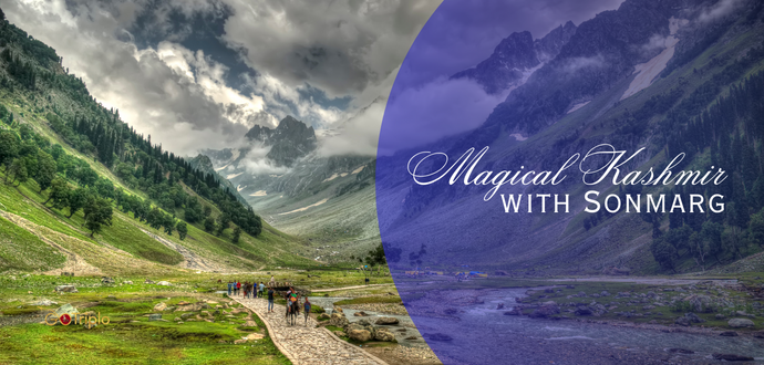 1690449490_576164-Magical-Kashmir.png