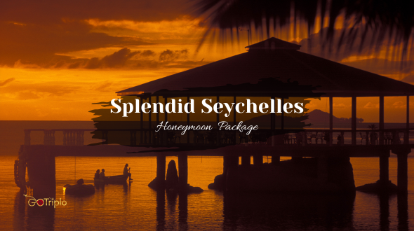 1691491056_260920-Splendid-Seychelles.png