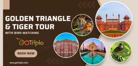 Golden Triangle & Tiger Tour with Bird Watching