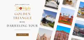 1690359765_443417-golden-triangle-with-darjeeling-tour.png
