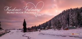 Kashmir Gulmarg Honeymoon Package