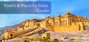 1690457860_529260-Forts-&-Palaces-tour.png