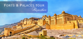 Forts and Palaces Tour