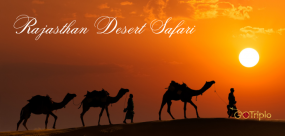 Rajasthan Desert Safari