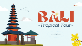 Tropical Bali Tour
