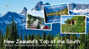 1691649404_193784-New-Zealand's-Top-of-the-South.png