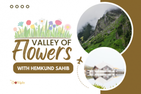 Valley of Flowers Trek with Hemkund Sahib
